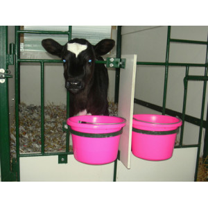 Calf Feeding (12)