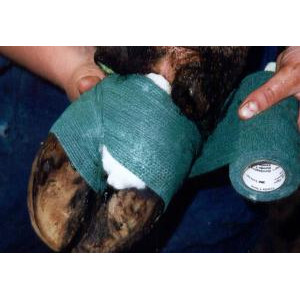 Foot Health - We Have The Solutions (11)