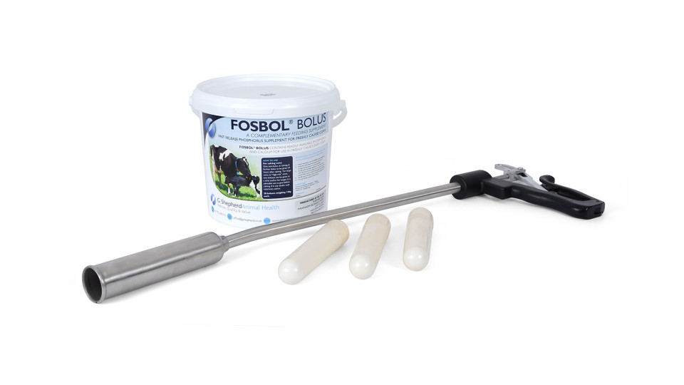Fosbol Phosphorus Bolus