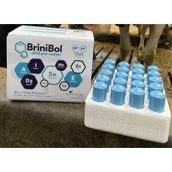 BriniBol Vital Pre-Calver- mineral and vitamin bolus 20 pack