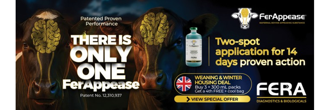 FerAppease- a great way to help cattle!