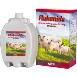 Flukanide fluke drench for sheep Flukanide fluke drench for sheep
