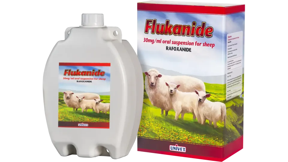 Flukanide fluke drench for sheep