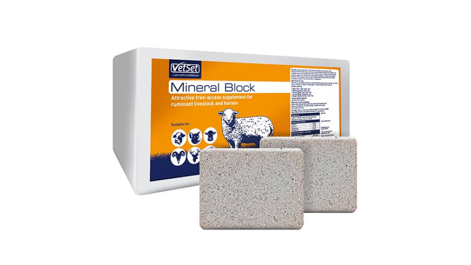 Salt Block with Minerals  2 x 10kg