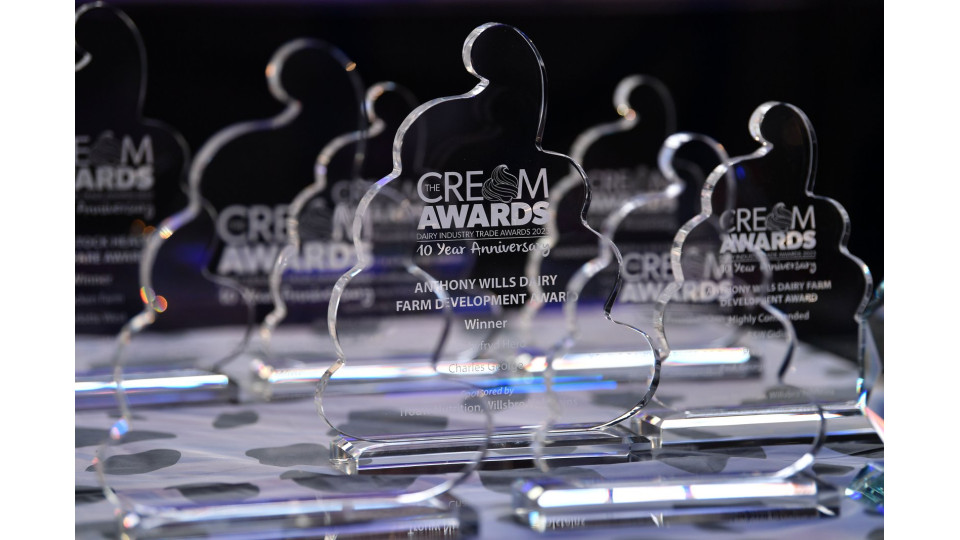 The CREAM AWARD for INNOVATION
