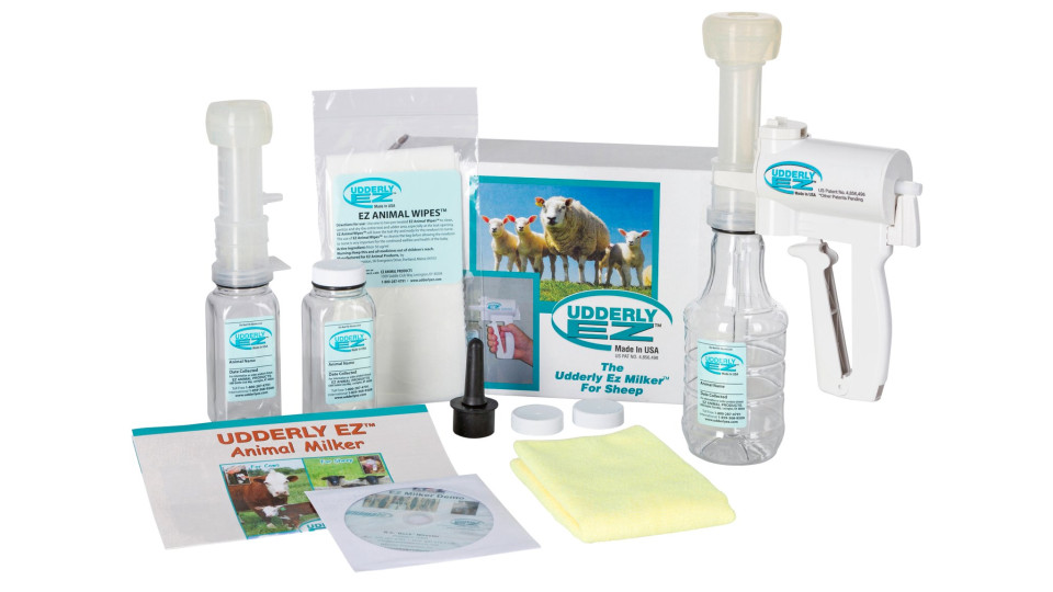 A popular tool for milking colostrum from sheep